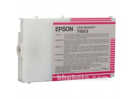 Epson 4880 Vivid magenta 110ml T6053