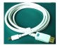 Eizo MiniDisplay til Displayport kabel