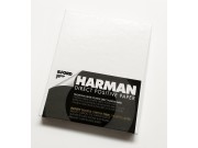 Harman lford Direct Positiv papir 8x10 1K 25pk (*)