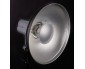 Interfit EX150 beauty dish reflector