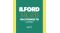 Ilford MGFB 5K 40x50/10 Matt (*)