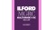 Ilford MG RC Deluxe Glossy 13x18/100 (*)